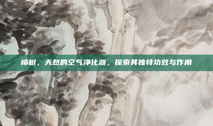 樟树，天然的空气净化器，探索其独特功效与作用