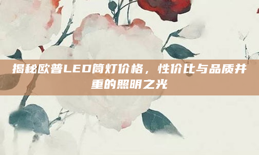 揭秘欧普LED筒灯价格，性价比与品质并重的照明之光