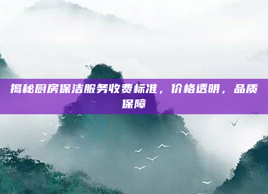 揭秘厨房保洁服务收费标准，价格透明，品质保障