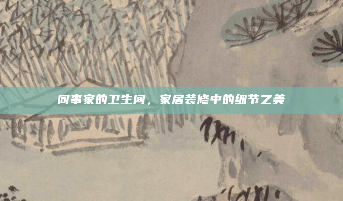 同事家的卫生间，家居装修中的细节之美