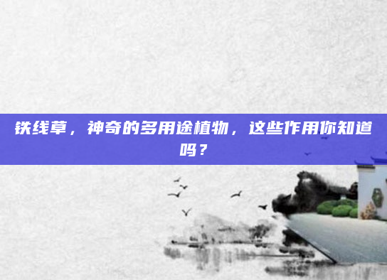 铁线草，神奇的多用途植物，这些作用你知道吗？