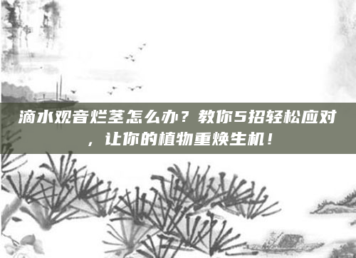 滴水观音烂茎怎么办？教你5招轻松应对，让你的植物重焕生机！