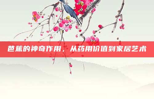芭蕉的神奇作用，从药用价值到家居艺术