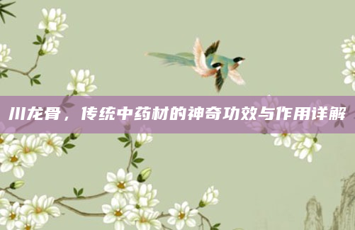 川龙骨，传统中药材的神奇功效与作用详解