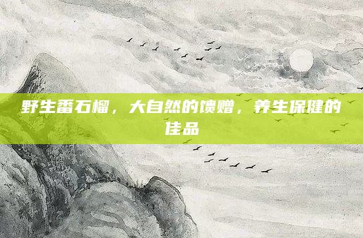 野生番石榴，大自然的馈赠，养生保健的佳品