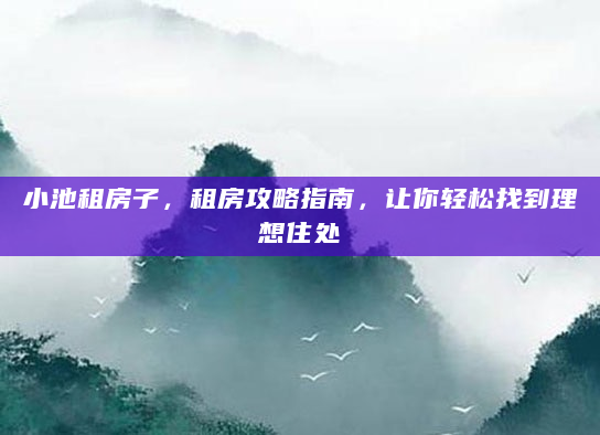 小池租房子，租房攻略指南，让你轻松找到理想住处