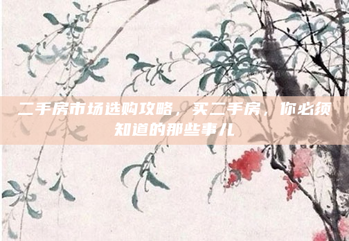 二手房市场选购攻略，买二手房，你必须知道的那些事儿