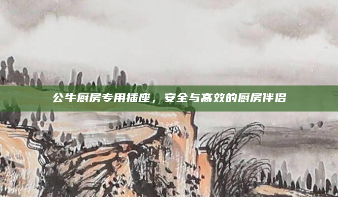 公牛厨房专用插座，安全与高效的厨房伴侣