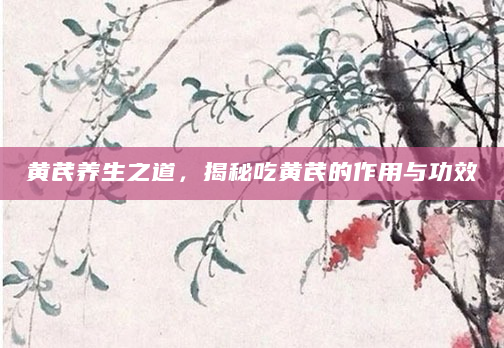黄芪养生之道，揭秘吃黄芪的作用与功效