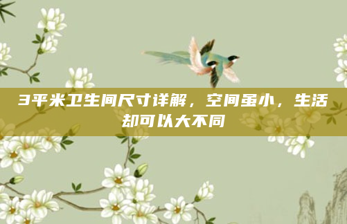 3平米卫生间尺寸详解，空间虽小，生活却可以大不同
