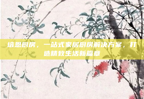培恩厨房，一站式家居厨房解决方案，打造精致生活新篇章