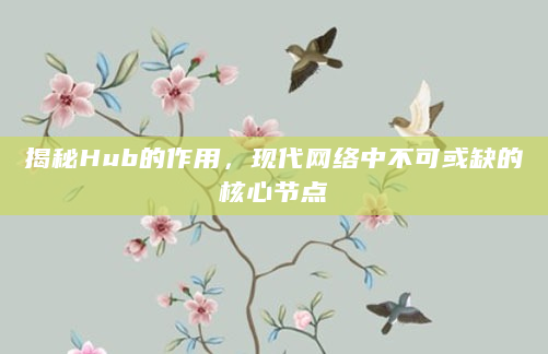揭秘Hub的作用，现代网络中不可或缺的核心节点