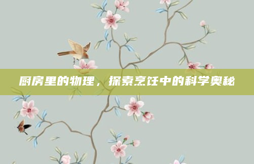 厨房里的物理，探索烹饪中的科学奥秘