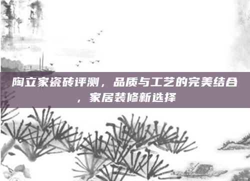 陶立家瓷砖评测，品质与工艺的完美结合，家居装修新选择