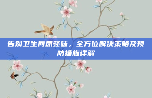 告别卫生间尿骚味，全方位解决策略及预防措施详解