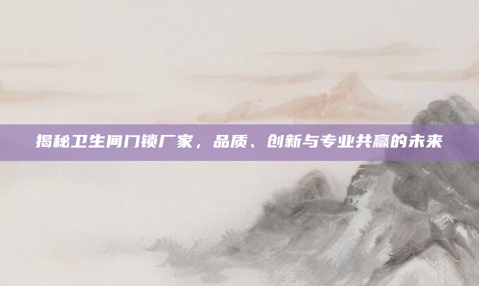 揭秘卫生间门锁厂家，品质、创新与专业共赢的未来