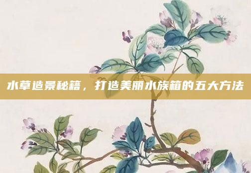 水草造景秘籍，打造美丽水族箱的五大方法
