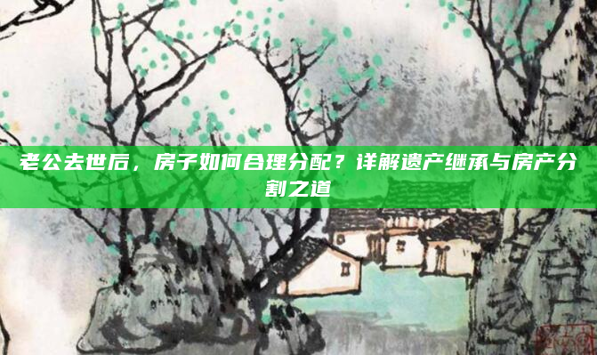 老公去世后，房子如何合理分配？详解遗产继承与房产分割之道