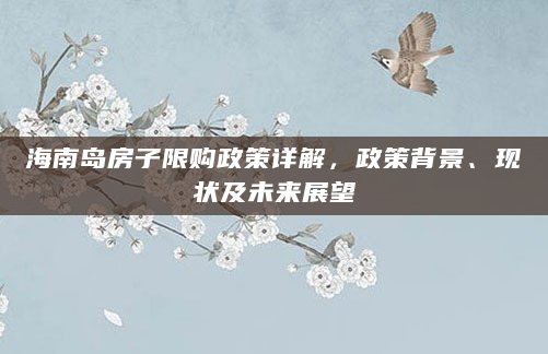 海南岛房子限购政策详解，政策背景、现状及未来展望
