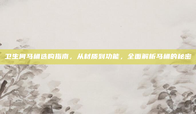 卫生间马桶选购指南，从材质到功能，全面解析马桶的秘密