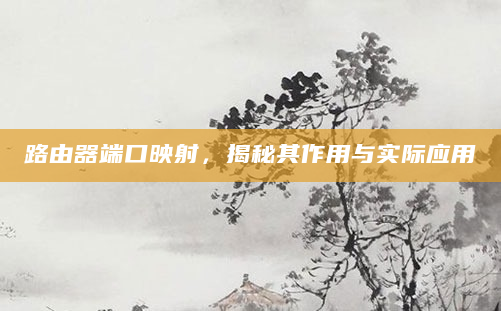 路由器端口映射，揭秘其作用与实际应用