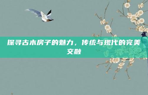 探寻古木房子的魅力，传统与现代的完美交融
