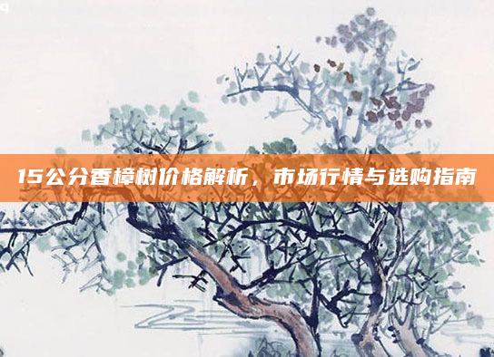 15公分香樟树价格解析，市场行情与选购指南