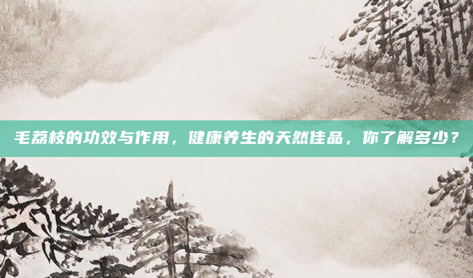 毛荔枝的功效与作用，健康养生的天然佳品，你了解多少？
