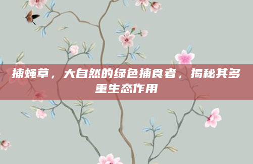 捕蝇草，大自然的绿色捕食者，揭秘其多重生态作用