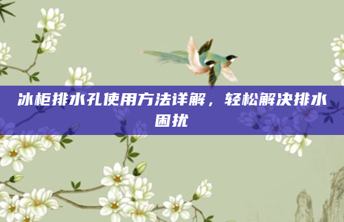 冰柜排水孔使用方法详解，轻松解决排水困扰