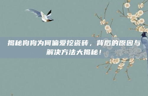 揭秘狗狗为何偏爱挖瓷砖，背后的原因与解决方法大揭秘！