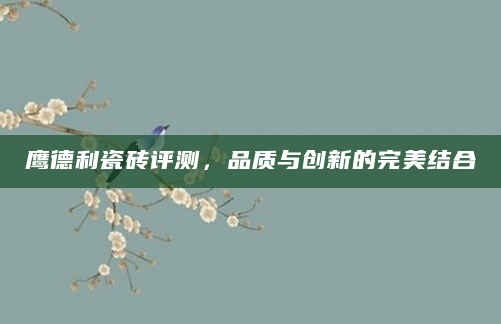 鹰德利瓷砖评测，品质与创新的完美结合