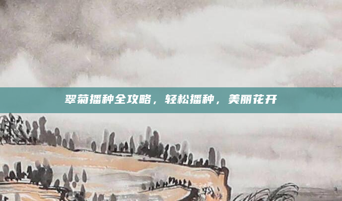 翠菊播种全攻略，轻松播种，美丽花开