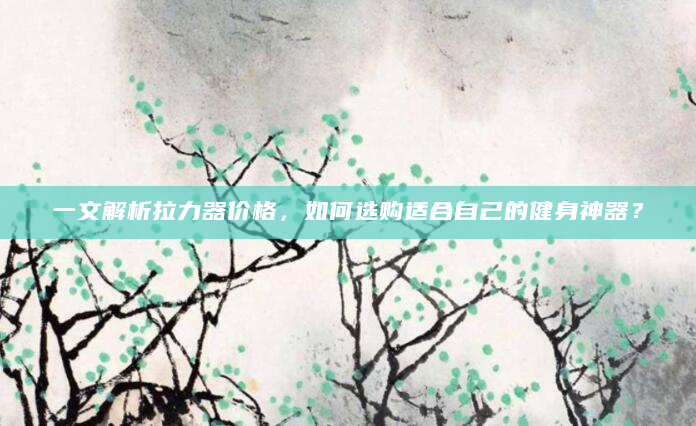 一文解析拉力器价格，如何选购适合自己的健身神器？