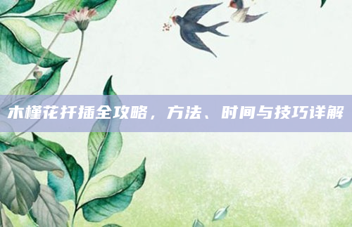 木槿花扦插全攻略，方法、时间与技巧详解