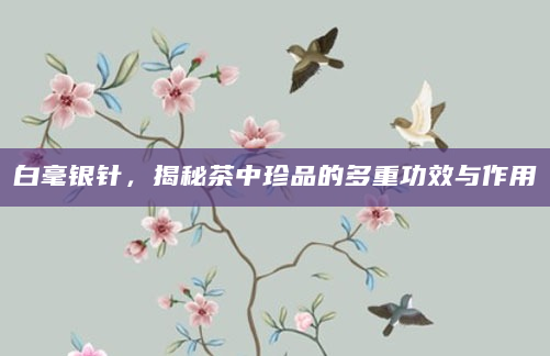 白毫银针，揭秘茶中珍品的多重功效与作用