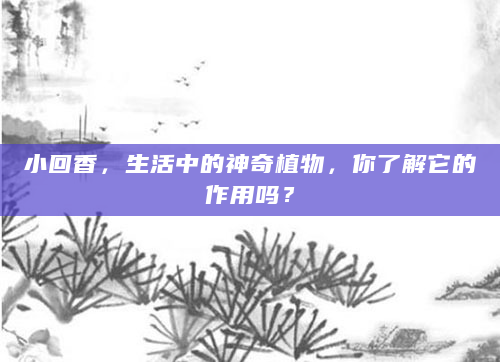小回香，生活中的神奇植物，你了解它的作用吗？