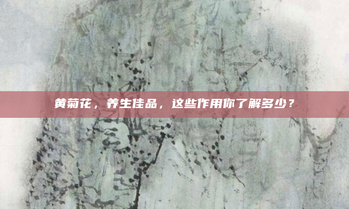 黄菊花，养生佳品，这些作用你了解多少？