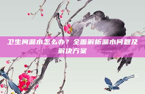 卫生间漏水怎么办？全面解析漏水问题及解决方案