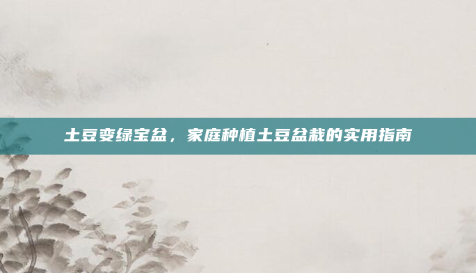 土豆变绿宝盆，家庭种植土豆盆栽的实用指南