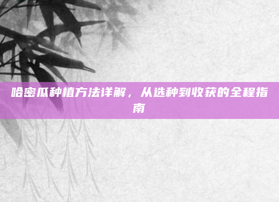 哈密瓜种植方法详解，从选种到收获的全程指南