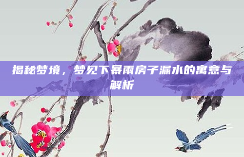 揭秘梦境，梦见下暴雨房子漏水的寓意与解析