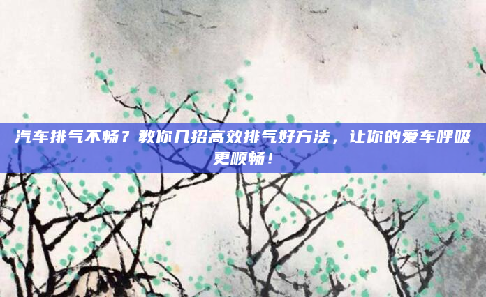 汽车排气不畅？教你几招高效排气好方法，让你的爱车呼吸更顺畅！