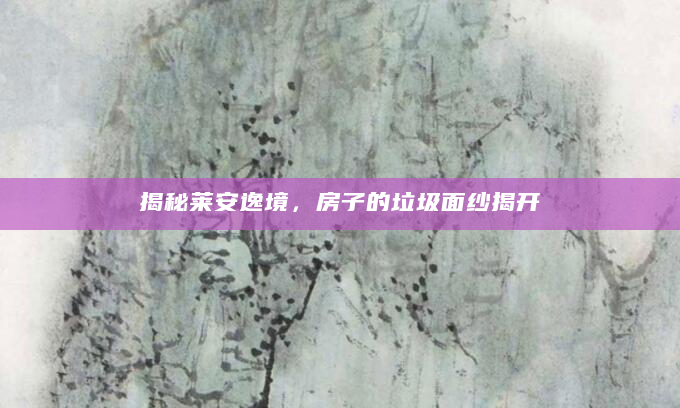 揭秘莱安逸境，房子的垃圾面纱揭开