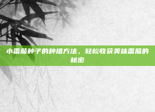 小番茄种子的种植方法，轻松收获美味番茄的秘密