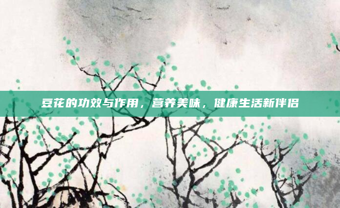 豆花的功效与作用，营养美味，健康生活新伴侣