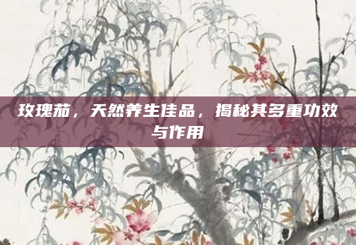 玫瑰茄，天然养生佳品，揭秘其多重功效与作用