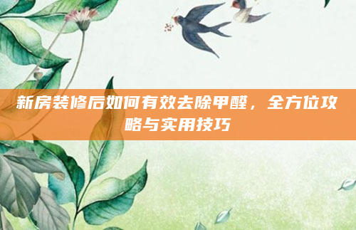 新房装修后如何有效去除甲醛，全方位攻略与实用技巧