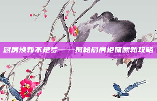厨房焕新不是梦——揭秘厨房柜体翻新攻略