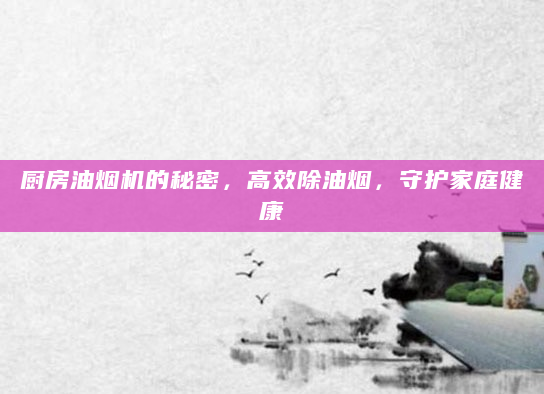 厨房油烟机的秘密，高效除油烟，守护家庭健康